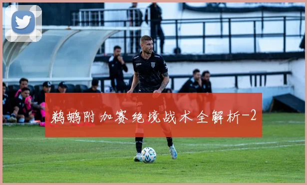 鹈鹕附加赛绝境战术全解析