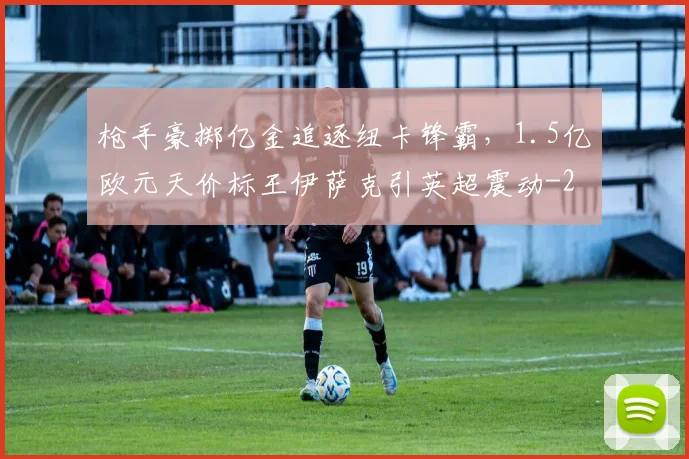 枪手豪掷亿金追逐纽卡锋霸，1.5亿欧元天价标王伊萨克引英超震动