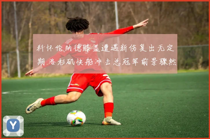 科怀伦纳德膝盖遭遇新伤复出无定期 洛杉矶快船冲击总冠军前景骤然黯淡