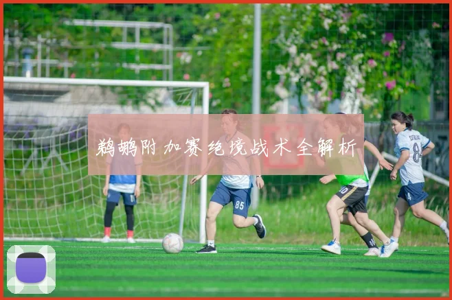 鹈鹕附加赛绝境战术全解析